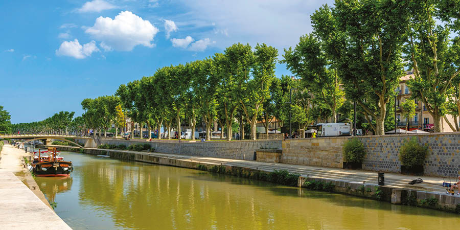 Discovering historical Narbonne and Mirepoix market