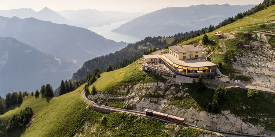 Discovering the Schynige Platte Botanical Alpine Garden