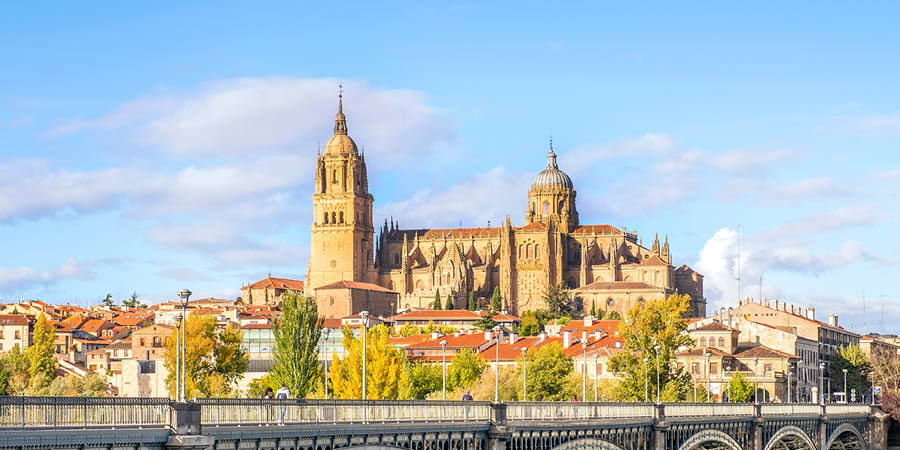 Admiring the golden city of Salamanca